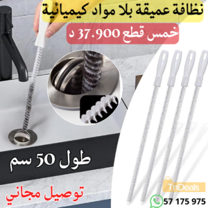 Brosse Débouchage Pro