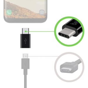 Adaptateur USB C vers USB Apple noir