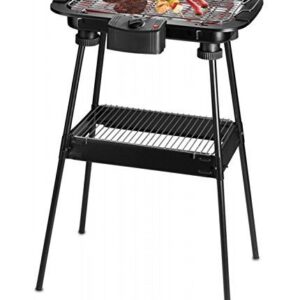 Barbecue sur Pieds Techwood TBQ P