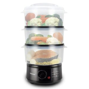 Cuiseur Vapeur Techwood TCV