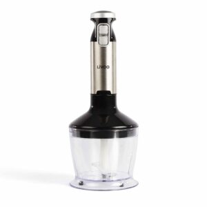 Set Mixeur Plongeant en LIVOO DOP
