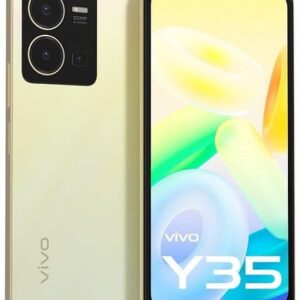 Smartphone Vivo Y (+Go) Gold