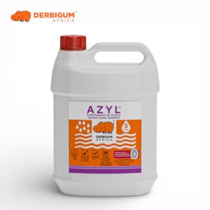 AZYL
