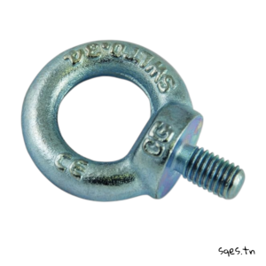 AnneaudeLevageGalvaniseMale