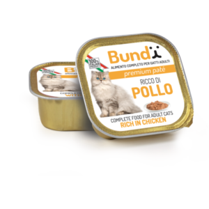 BARQUETTE BUNDY POULET GR png
