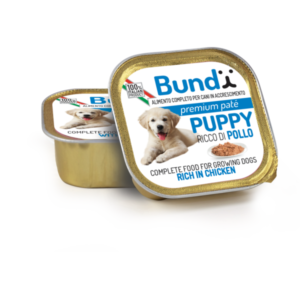 BARQUETTE BUNDY PUPPY GR png