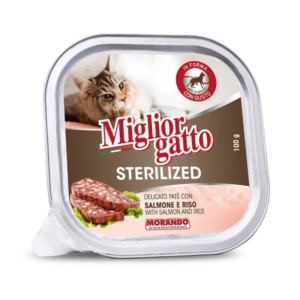 BARQUETTEMORANDOSTERILISESAUMONETRIZG