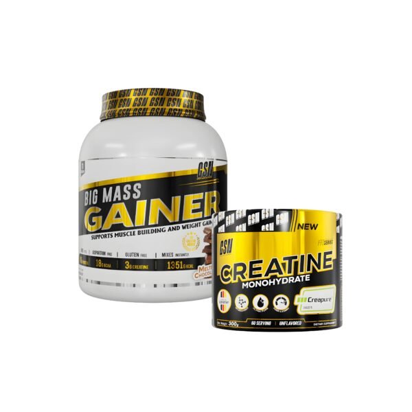 Big Mass Gainer 1 Kg Gsn + Creapure 300 G Gsn - SHOPINI STORE
