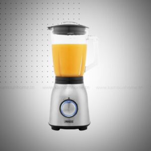 Blender Bol En Verre W Inox PRINCESS