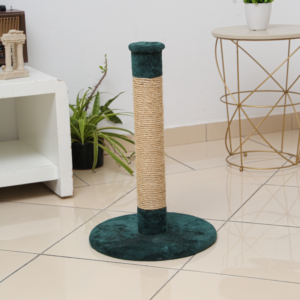 CHAGATE ARBREACHAT BASECERCLE