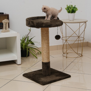 CHAGATE GriffoiravecChaise Sisal cm