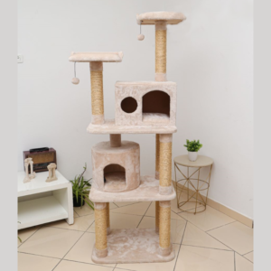 CHAGATE MULTI LEVEL CM