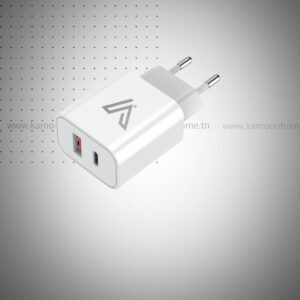 CHARGEUR ARTEK RAPIDE W