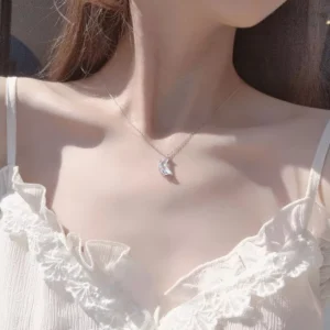 CL FN Collier webp