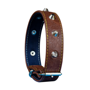 COLLIER POUR CHIEN CLOUTE DE PICS EN CUIR