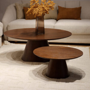 ENSEMBLE DE TABLES BASSES CONE