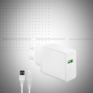 Chargeur Prince SRB USB Lightning