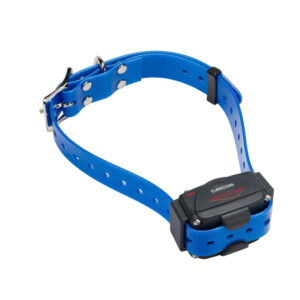 Collier CANICOM sangle bleue NUMAXES Education