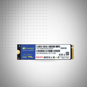 Disque SSD TwinMOS Go NVMe PCIE M