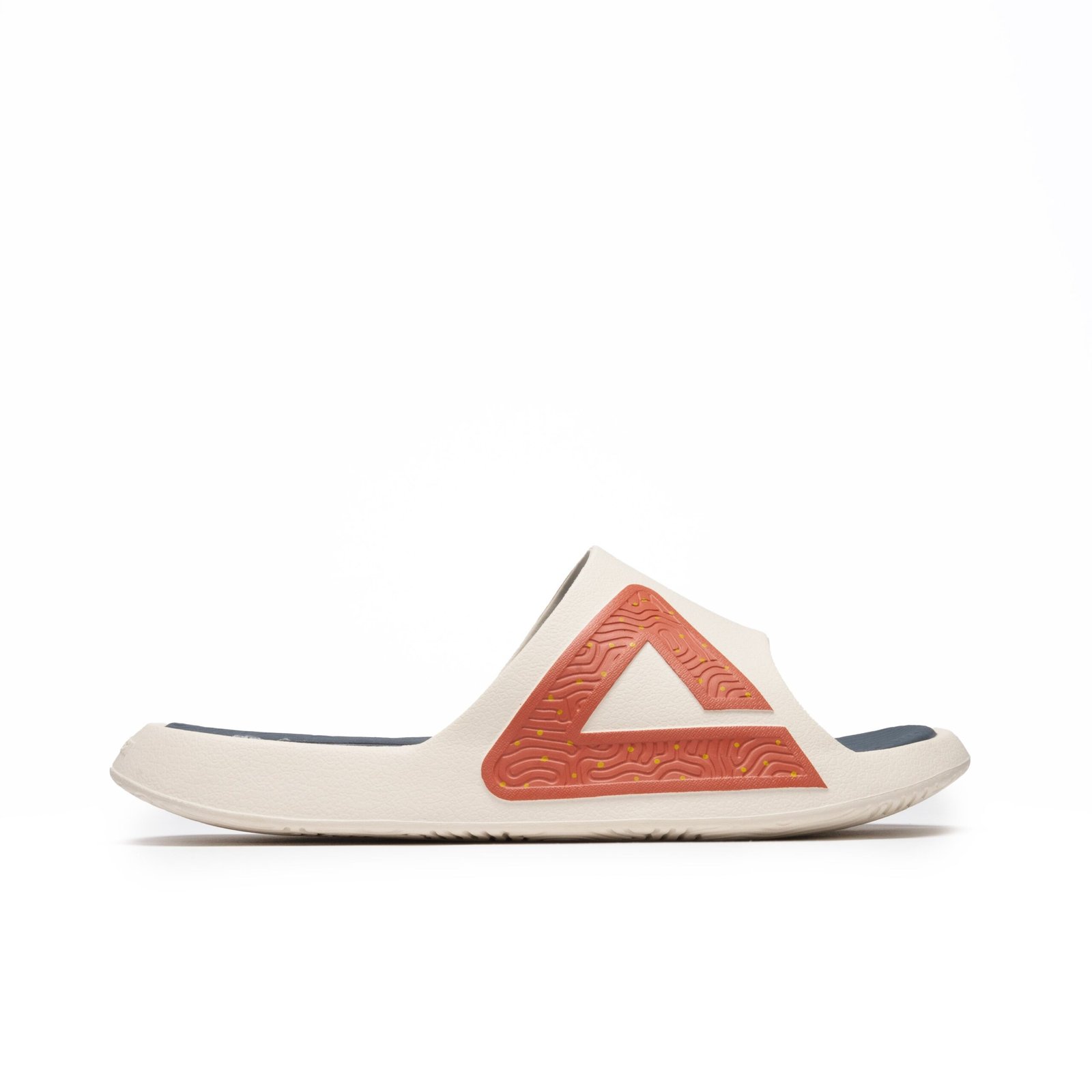 TAICHI SLIPPER IV 1 DSC