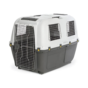 Design sans titre c ccf c e ccb