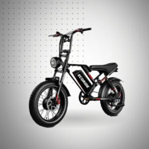 Bicyclette Électrique Ecoride ER (Dual) W