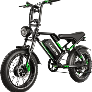 Ecoride ER &# Bicyclette Électrique Watts Noir