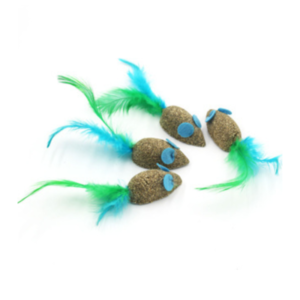 FELICANWILDCATSOURISAVECPLUME