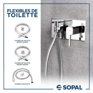 Flexible Toilette jpg