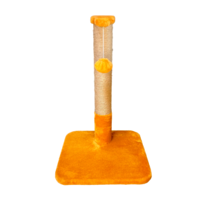 IMG PhotoRoom png PhotoRoom