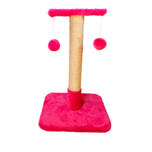 IMG PhotoRoom png PhotoRoom