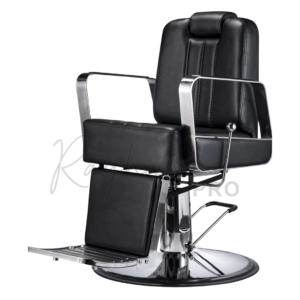 LEPROFESSIONNEL T