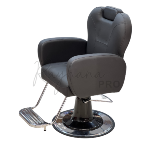 LEPROFESSIONNEL T