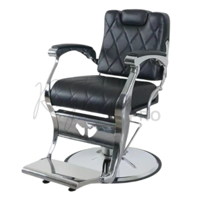 LEPROFESSIONNEL T