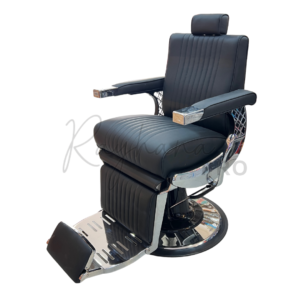 LEPROFESSIONNEL T