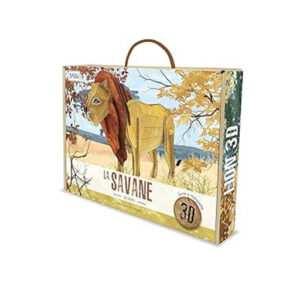 La savane Le lion D SASSI jpg