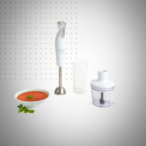 MIXEUR PLONGEANT EN MOULINEX DAILY CHEF