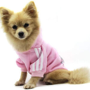 NNNN dbde cd f ad bfed