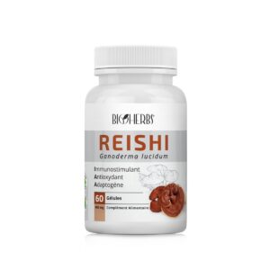Reishi
