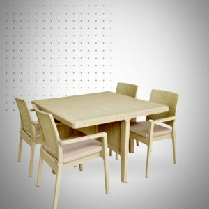 SALON LA GOULETTE PLACES GREGE