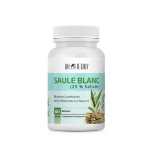 Saule Blanc x png