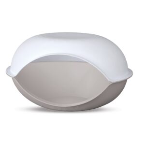 TfezKguyMUvaWriOQHuIasksTosaWZTwKMppE