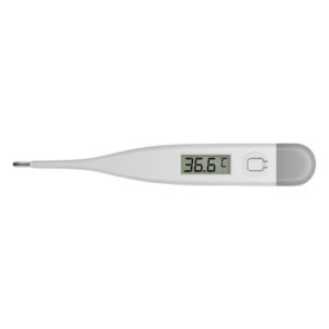 Thermometre numerique