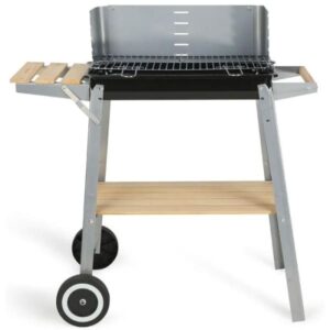 barbecue a charbon livoo silver doc