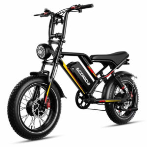 bicyclette electrique ecoride er watts noir ee dd cefff