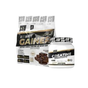 big mass gainer kg gsn creatine g