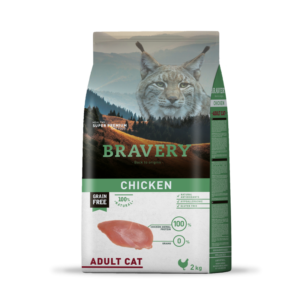bravery poulet adult chat kg