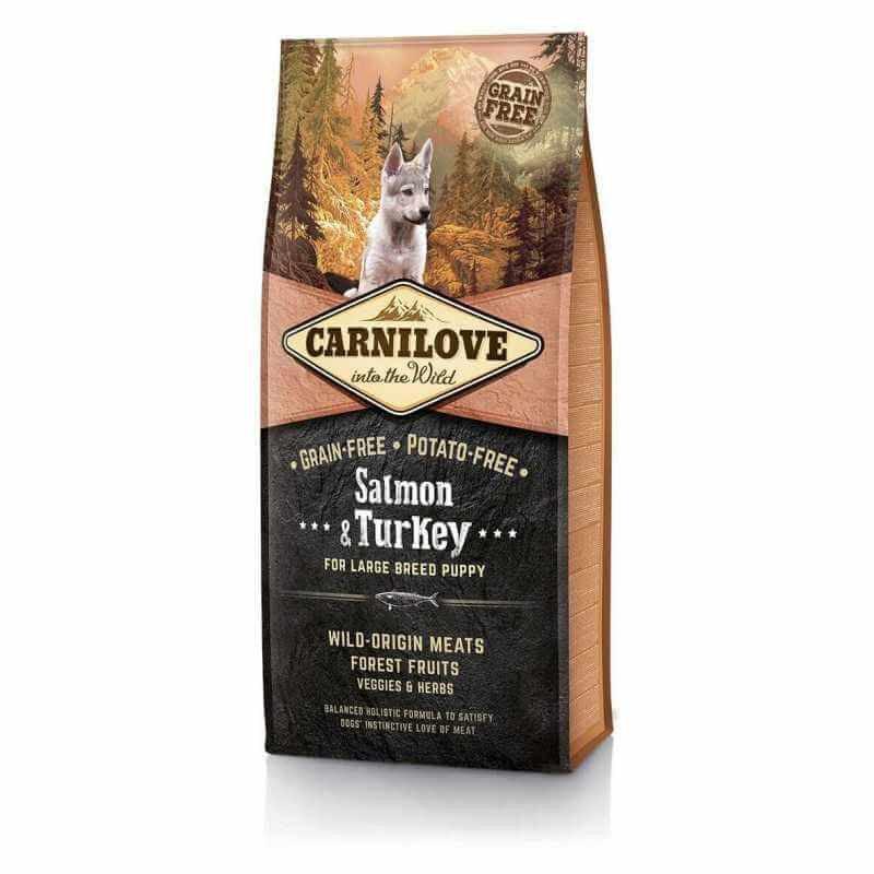 CARNILOVE GRAND CHIOT SAUMON & DINDE 12KG 1 carnilove grand chiot saumon dinde kg