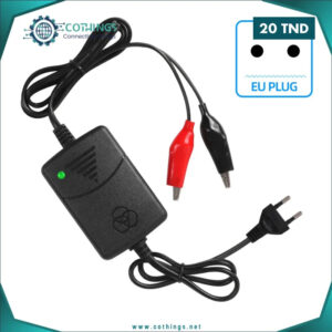 chargeur batterie voiture v a prise cothings