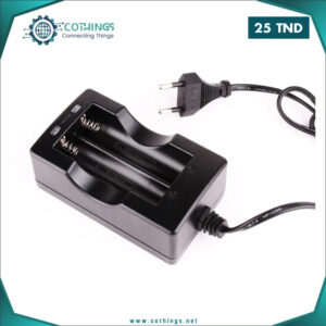 chargeur double batterie li ion rechargeable cothings